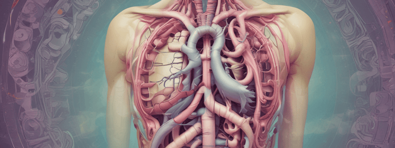 Esophageal Obstruction and Vascular Diseases