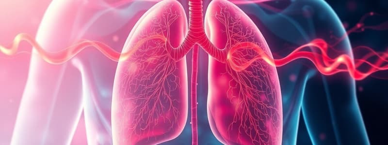 Pulmonary Circulation Overview