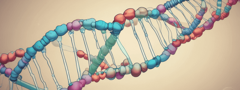 Estructura del DNA