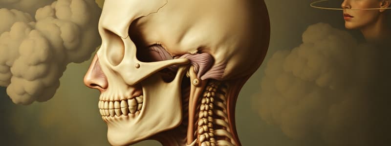 Head, Neck, and TMJ Anatomy