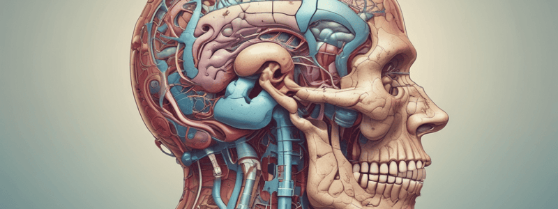 Neuroanatomy: Ascending and Descending Pathways