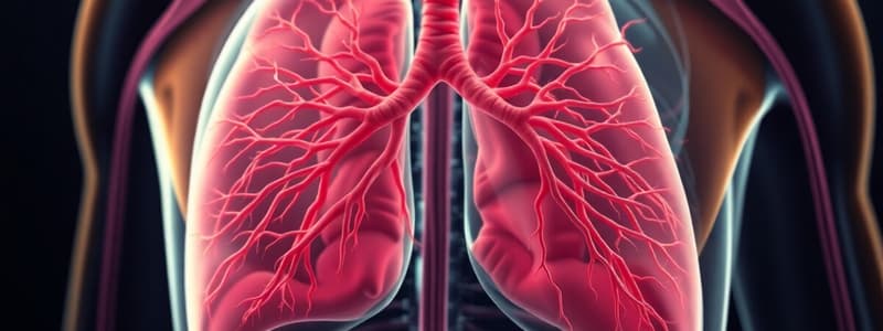 Biology Chapter: Respiratory & Circulatory Systems