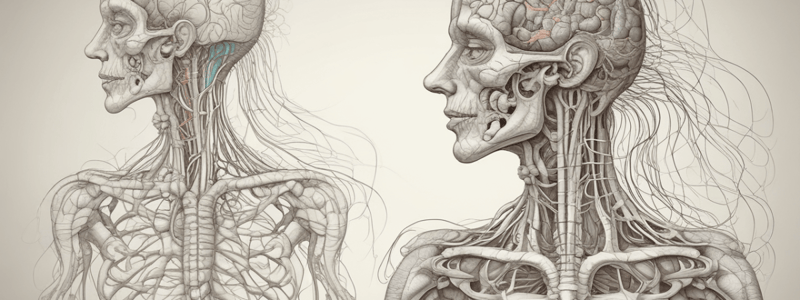 Physiology of Nervous System Lecture 6