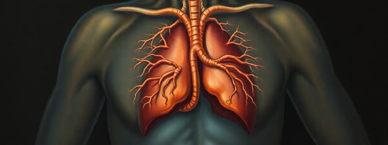 Sistema Endocrino - Funciones y Glándulas