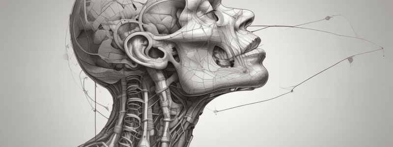 Anatomy and Physiology Quiz