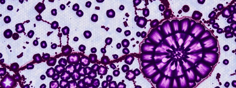 Introduction to Histology and Microscopes