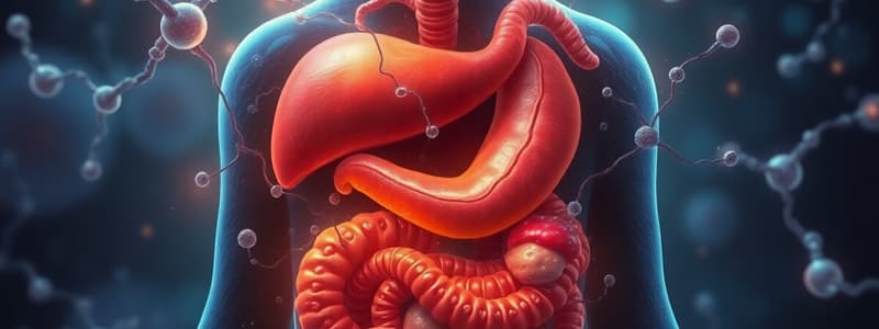 Digestive System Overview Quiz