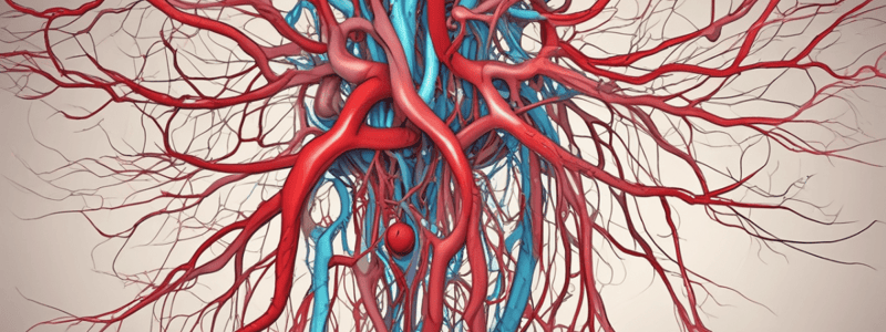 Major Blood Vessels: Pulmonary Arteries