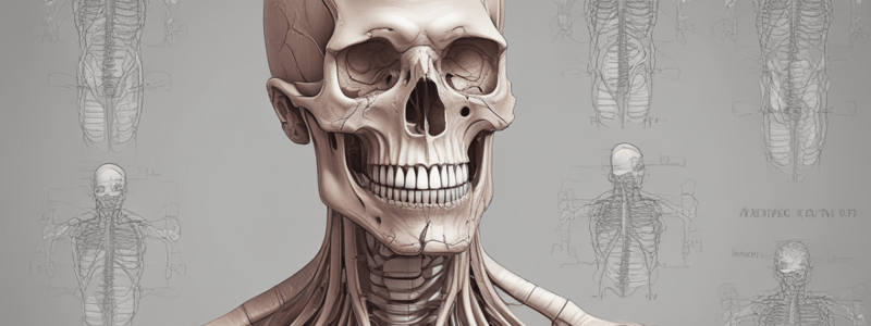 Anatomy of Pectoral Region