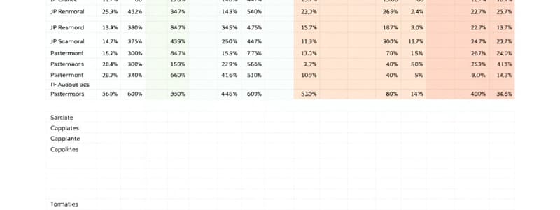 MS Excel Formatting Techniques