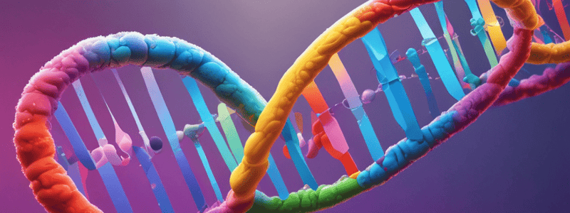 Understanding DNA Structure and Function