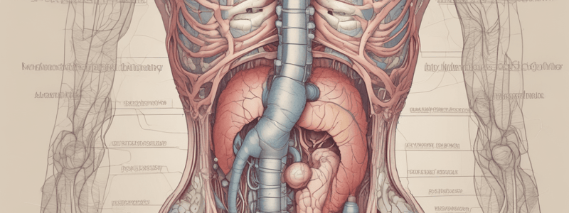 digestion in the mouth