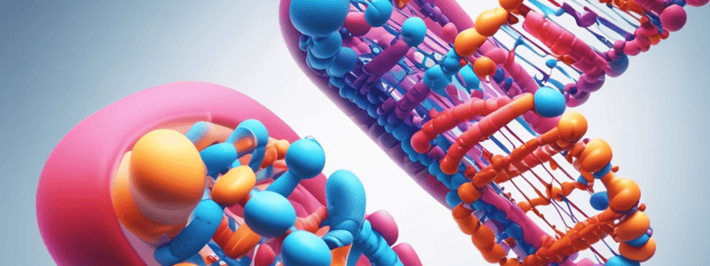 Genetics II Chromosomes and Chromosomal Abnormalities Quiz