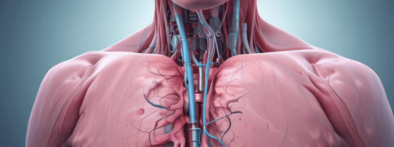 Intraosseous Infusion Technique Quiz