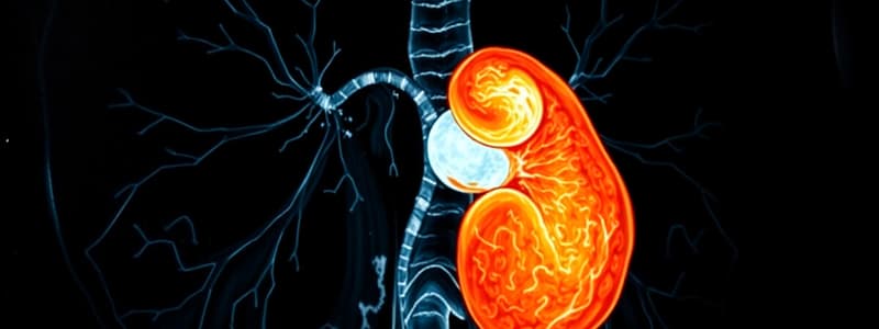 Renal Imaging with ACE Inhibitors