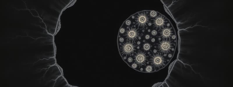 Cell Cycle: Interphase and Cell Division