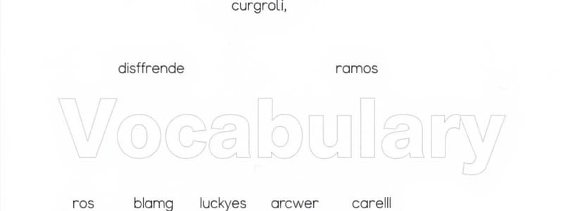 Spanish Adjectives Flashcards: P