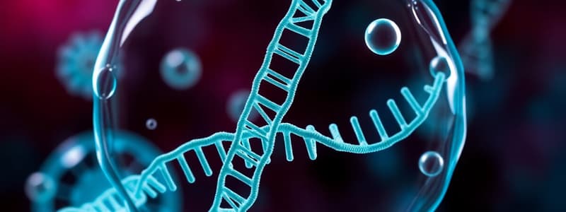 Biology Chapter 5: Cellular Functions