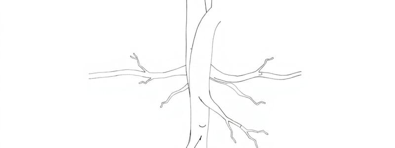 Fisiologia Cardiovascolare (Fisiologia 29)