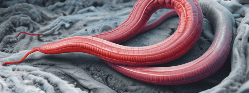 2023 Scientific Discoveries: Awakening of Ancient Worm