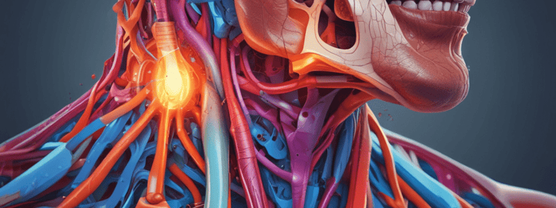 Anatomy of Submental and Submandibular Triangles