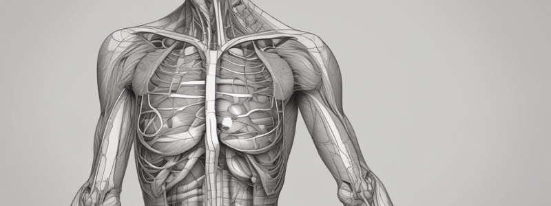 Basic Anatomy Introduction