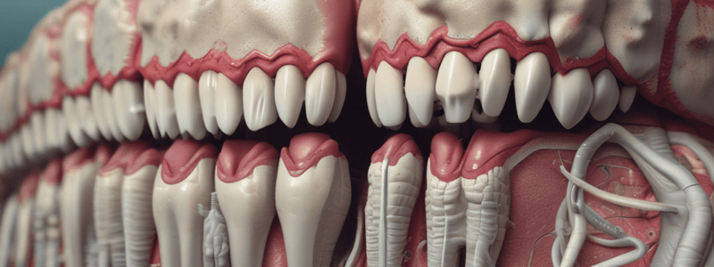 Cementum in Periodontium