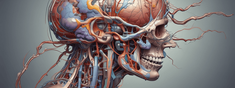 Physiology & Anatomy of Systems: Electrochemical Potentials