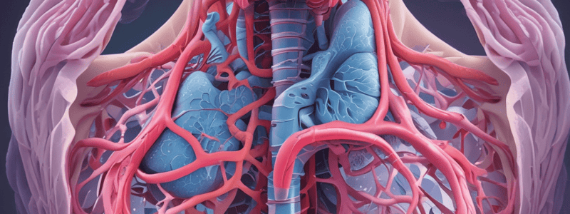 Respiratory System: Trachea, Bronchi, and Larynx Structure