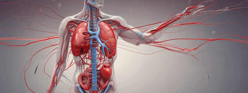 Cardiovascular System and Shock Quiz