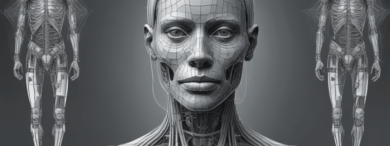 Geometry of Projection Radiography