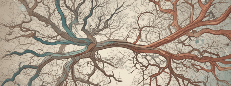 Nervous System Components