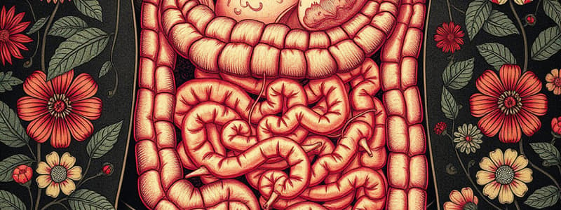 GI Tract Circulation and Histology