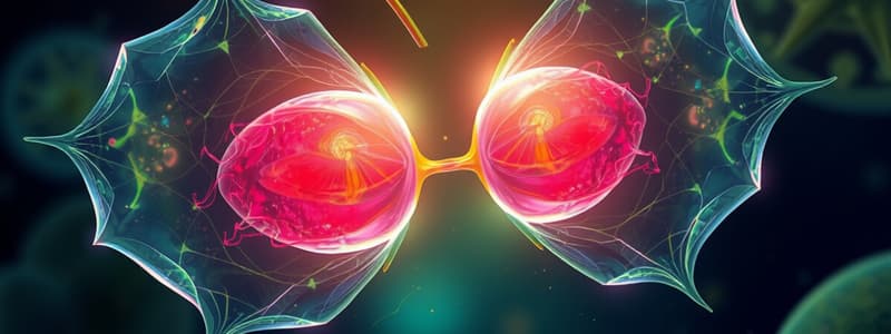 Double Fertilization and Seed Formation