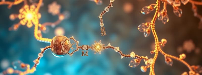 Electron Transport Chain Overview