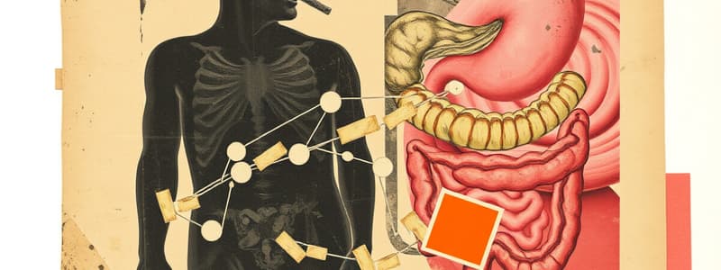 Fat Absorption Process