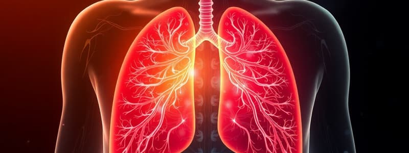 Respiratory System Functions Quiz