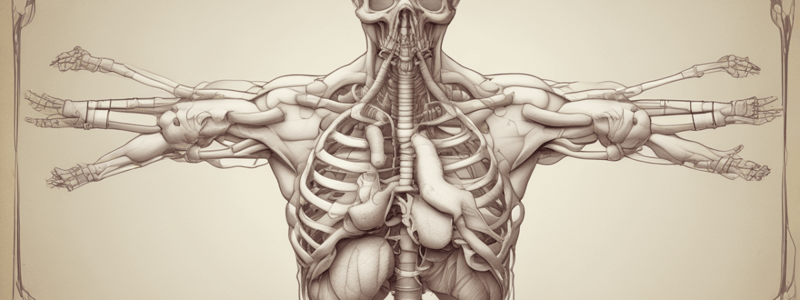 Lower Respiratory Tract Structure and Function Quiz