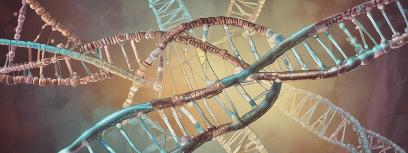 Biology Chapter on DNA and Heredity