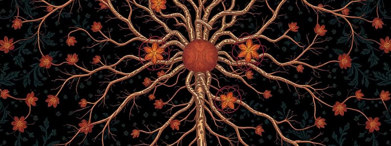 Introduction to the Nervous System