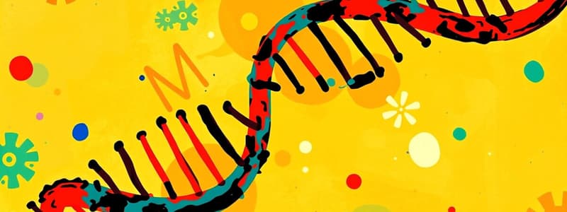 Biology DNA and mRNA Flashcards