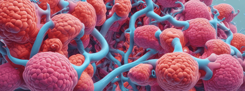 Respiratory System Function