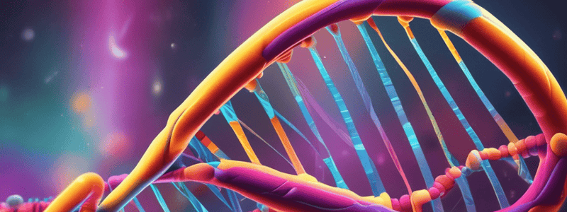 Chapter 7: DNA Structure and Replication