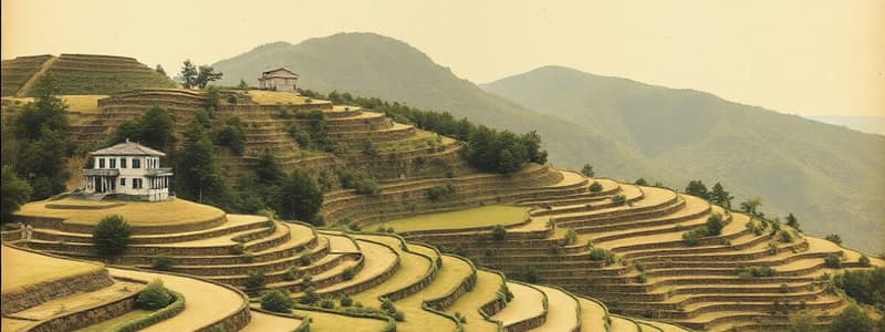 Terracing Techniques in Agriculture