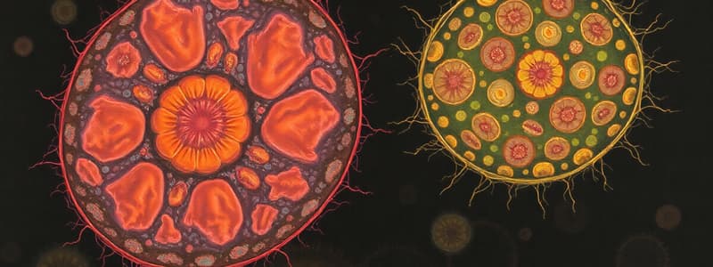 Eukaryotic and Prokaryotic Cells