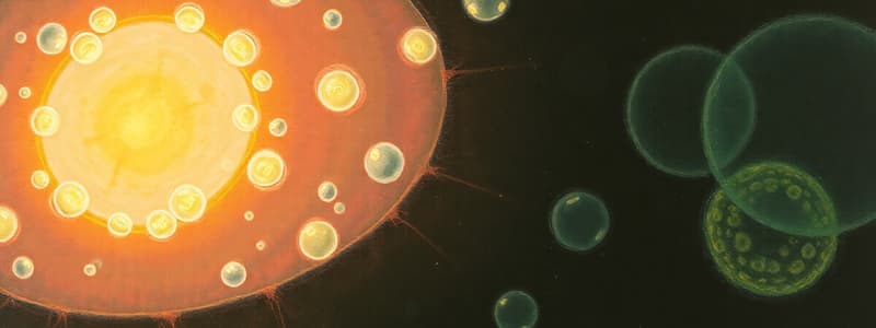 Eukaryotic and Prokaryotic Cells