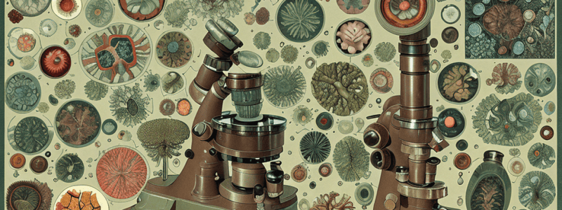 Microscope True or False Quiz