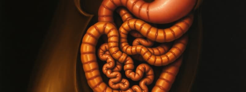 9. Intestinal Transport