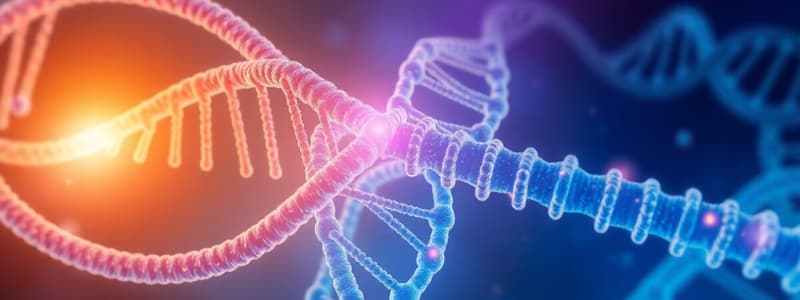 Molecular Basis of Inheritance and Gene to Protein