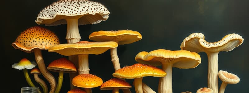 Fungi as Infectious Agents and Classification